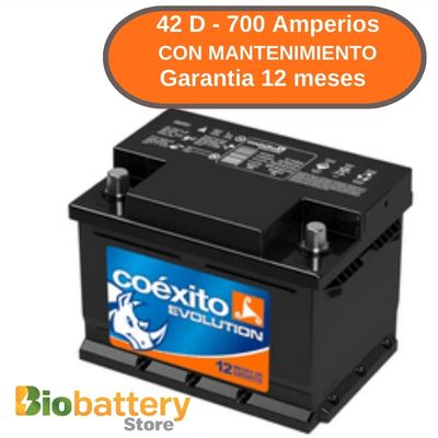 42 D - 700 Amperios - Con Ligero Mantenimiento